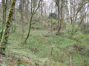 4.1.06 Dogwood & Alder Trail in Forest Park 017 